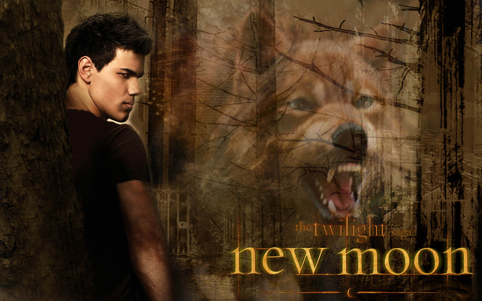 jacob-Blac-New-Moon-jacob-black-7270397-1920-1200.jpg